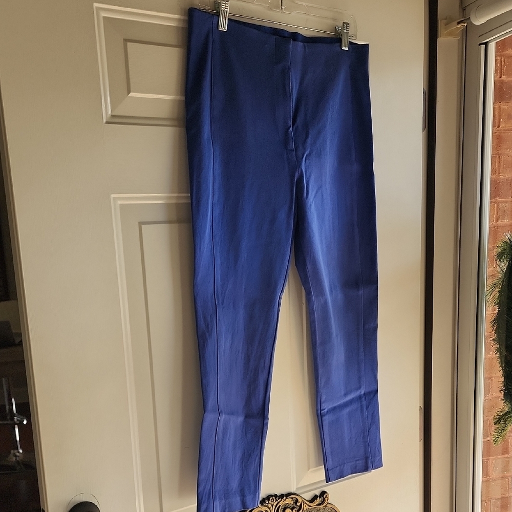 Ann Taylor Skinny Ankle Pants